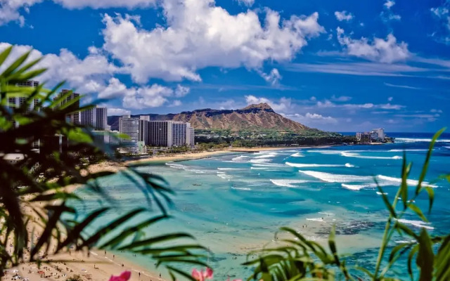 Waikiki Banyan 1BR Condos with No Parking