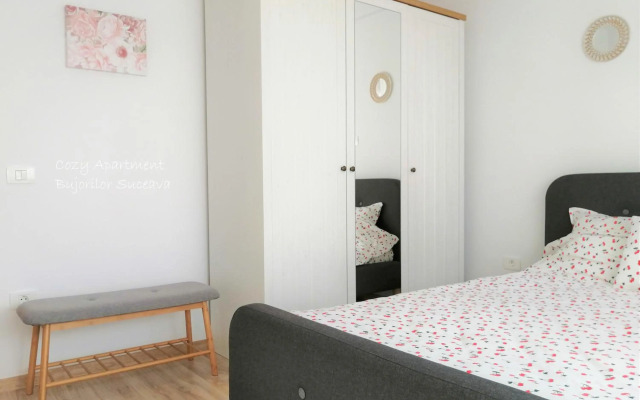 Cozy Apartment Bujorilor Suceava