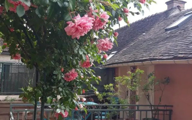 la maison rose: lieu atypique