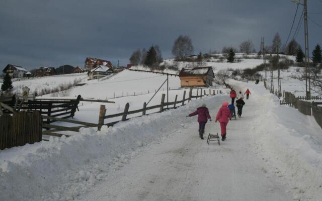 Pension Mama Cozonacilor