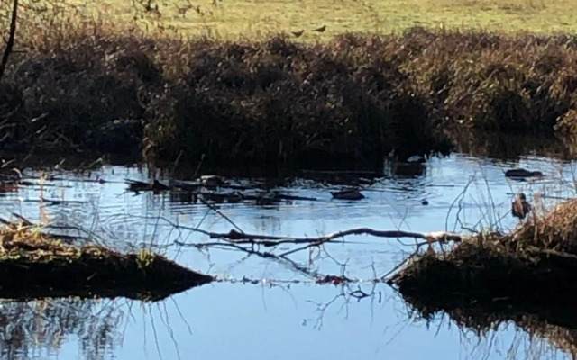 Hotel am Doktorplatz
