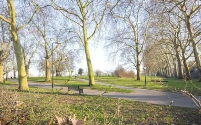 Spacious 3 Bedroom Flat By Hackney Downs