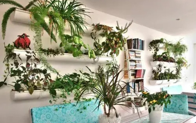 Apartamentos Gelimar