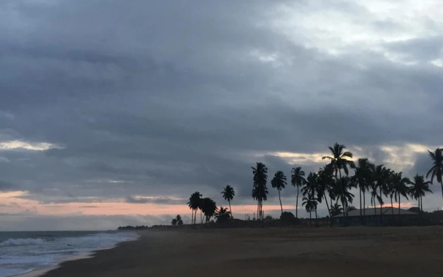 Alberta's Palace Beach Resort