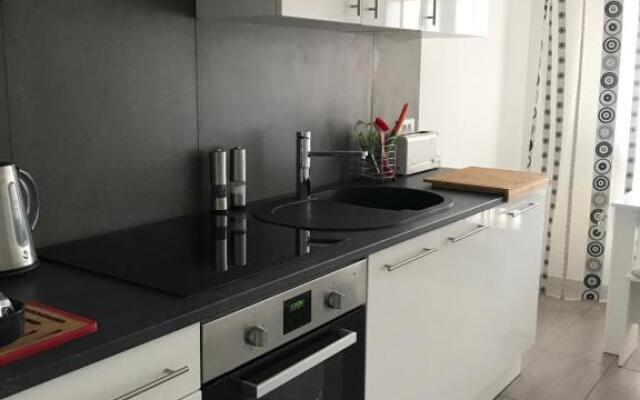 Roanne-centre appartement