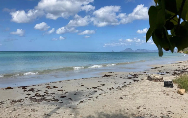Belfond-Tropical