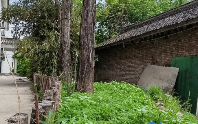 Homestays in the distance of Maiji Mountain