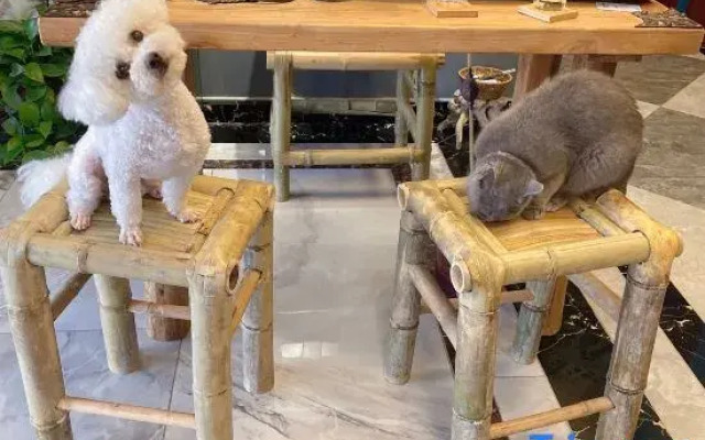 Huangyaguan Jiujian Su