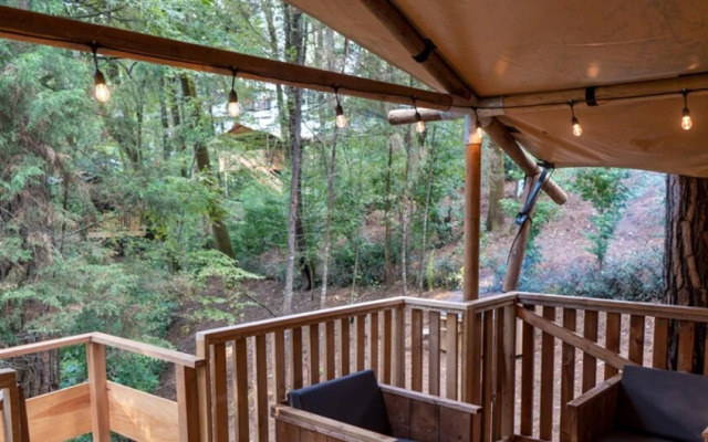 Almendra Incredible Lodge in the Forest With Private Jacuzzi