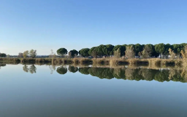 Mas la Pauline Gîtes de charme & roulotte