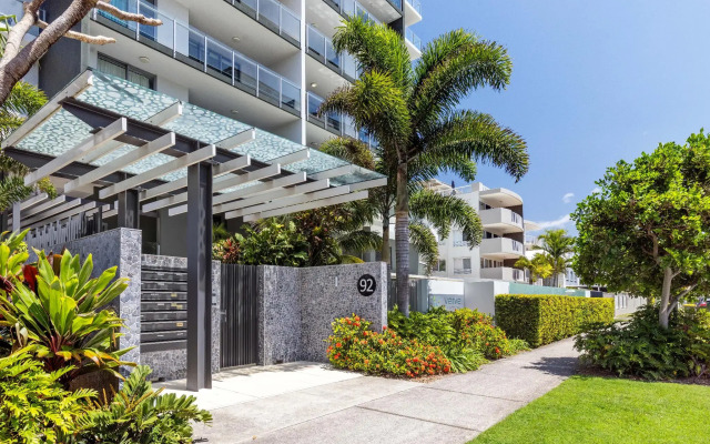 Verve on Cotton Tree