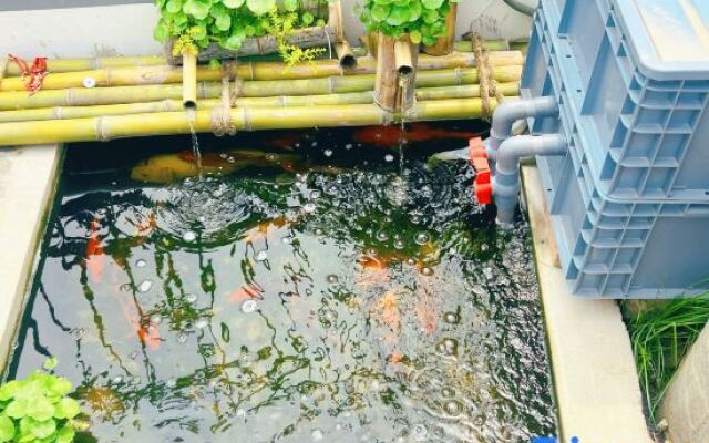 Yuanxu Homestay (Lingang Dishuihu Branch)