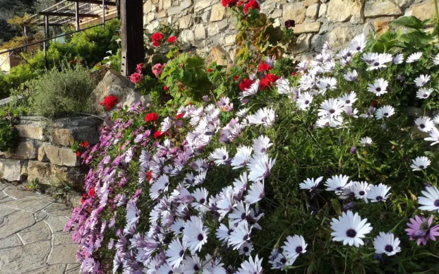 B&B La Mimosa del Golfo