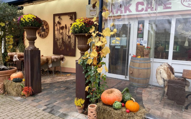 Ferienwohnungen Park Café am Kurpark