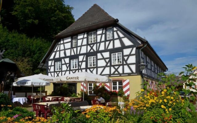 Schwarzwaldgasthof - Hotel Schlossmuehle