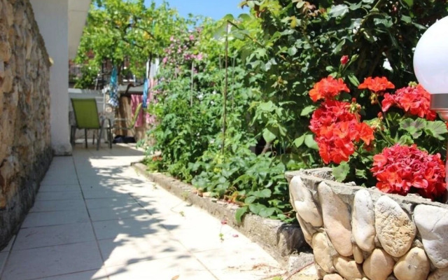 Bobi - 10 M From the sea - SA2