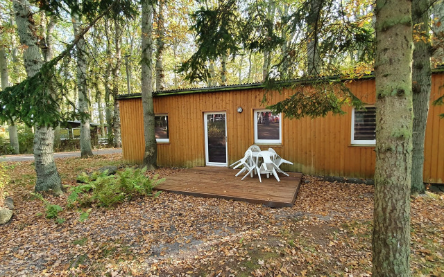 Ferienpark-Eichenwald