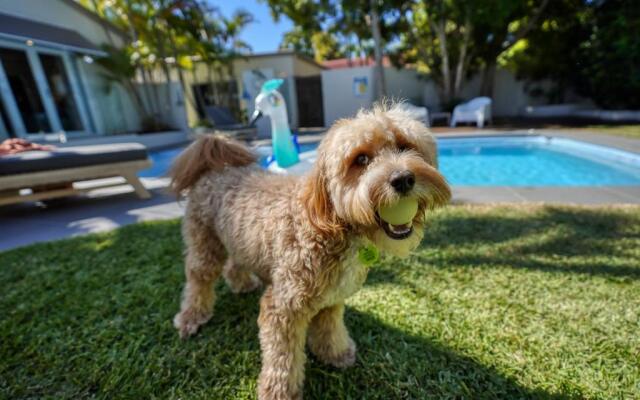 The Shack Noosa