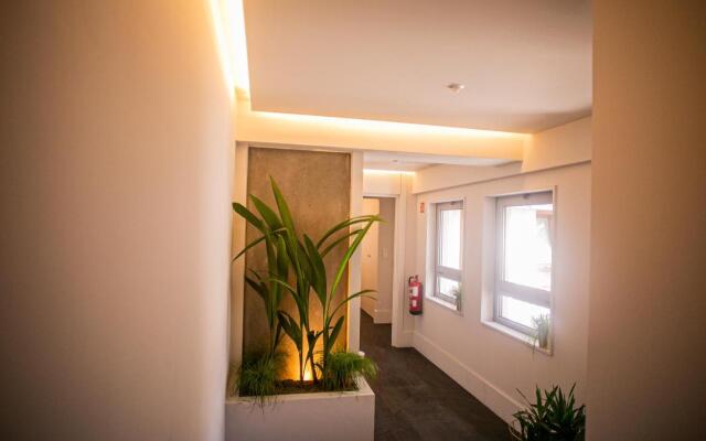 262 Boutique Aliados