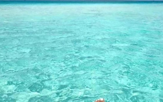 Departament & Pool and Parking Ariany