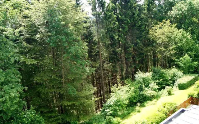 Winterberg Appartement 21048