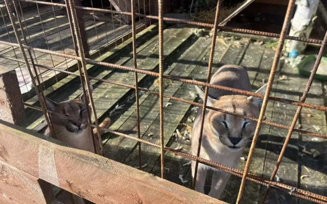 Уютные дома в квартале Бережки-2