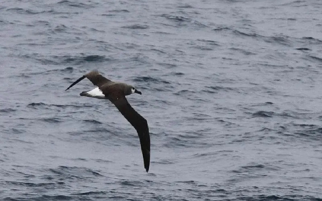 Cape Bridgewater Seaview Lodge
