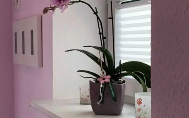 Romantic Apartment Near Seabeach