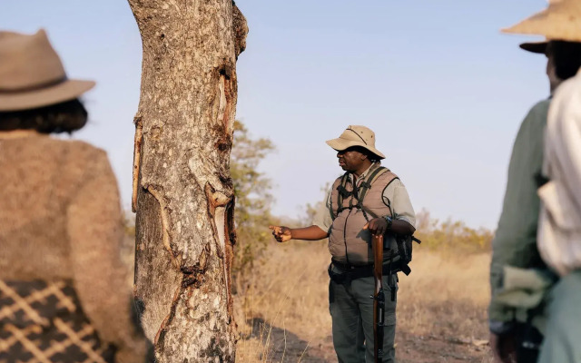 Simbavati Trails Camp