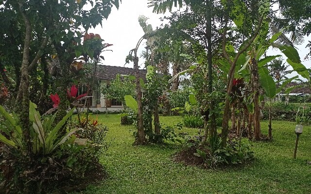 Pande House RedPartner