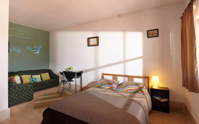 Alentejo Pig dog surf camp