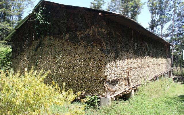 Tranquil homestays
