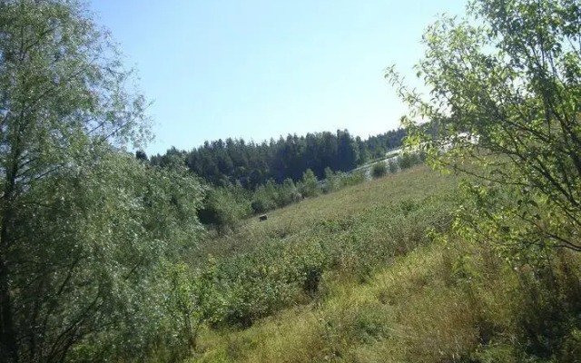 Liukonpellon Luomutila