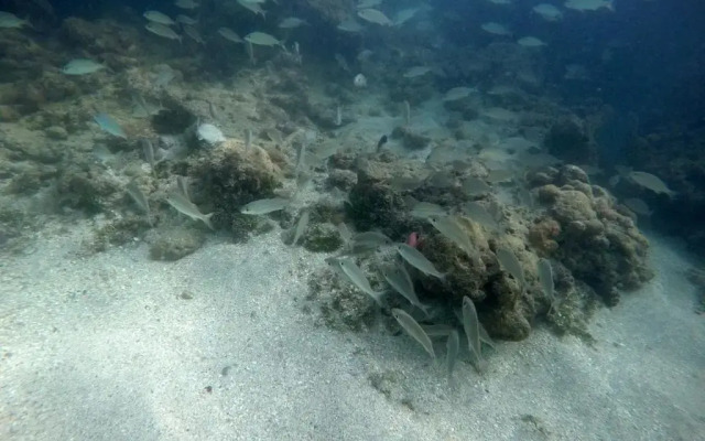 Pousada e Restaurante Encanto das Águas