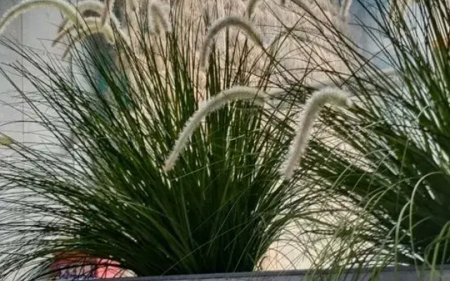 Yuansu City Guesthouse