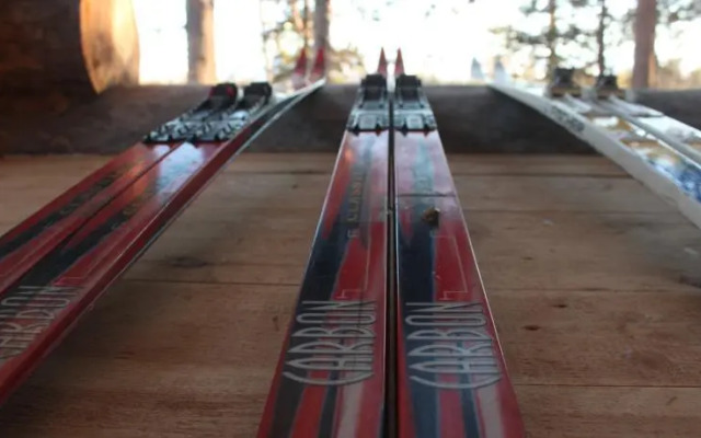 Сияние Севера