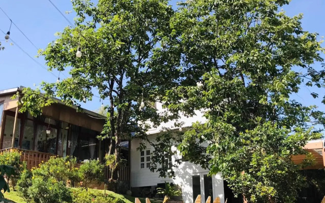 Books Homestay