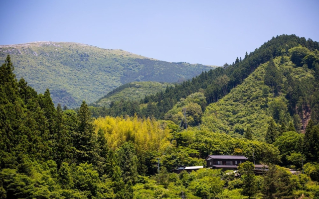 Washi Studio KAMIKOYA