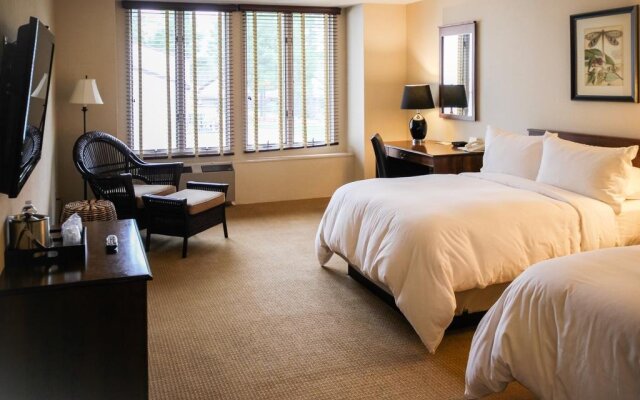The Lodge at The International