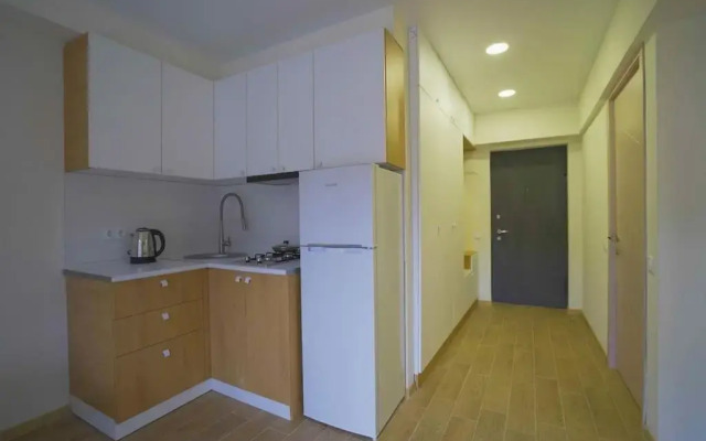 LEO GROUP Luxury Apartment 04-32 BAKURIANI INN