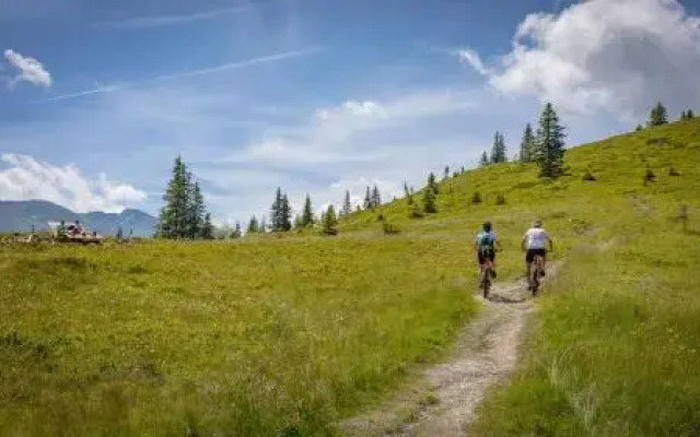 Zillertal Suites Fügen