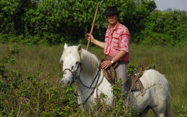 Manade Cavallini - Mas de Pioch