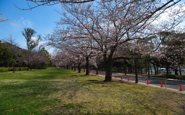 Tabist Daibo Ichihara Men Only