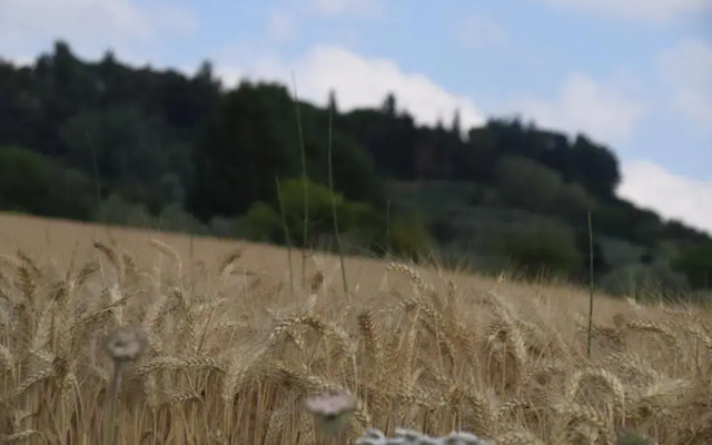 Apartment Casa Antica