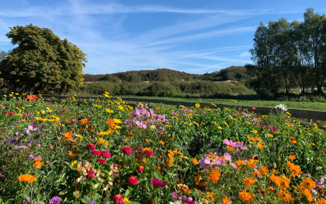 Ferienhaus am Nationalpark - Ihr Zuhause auf Rügen