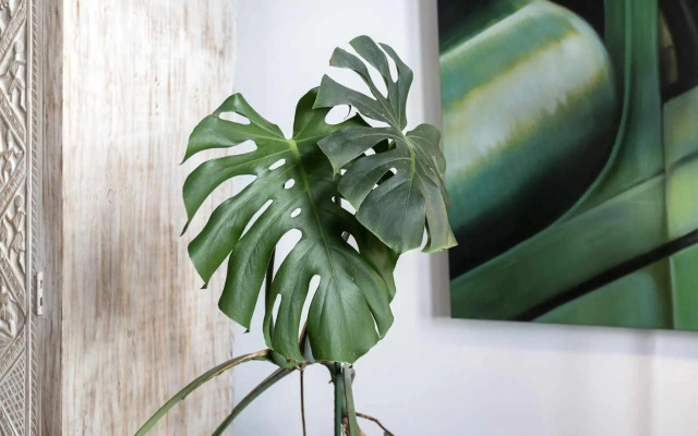 Pombalino Design Apartment in Baixa-Chiado