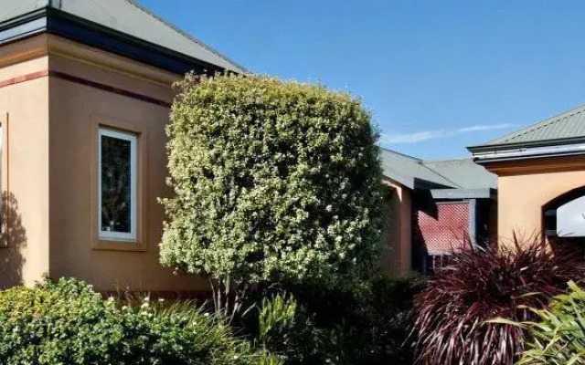 Vintages Accommodation