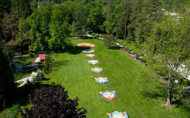 Wellness Suite Viola