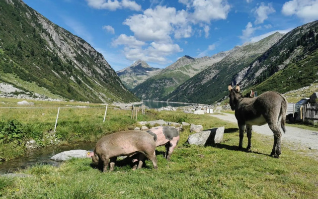 Zeit.Glück Appartements