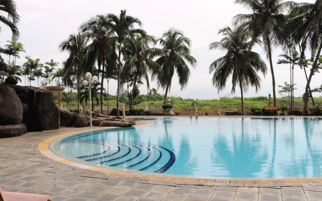 Cutie's Holiday Condominium